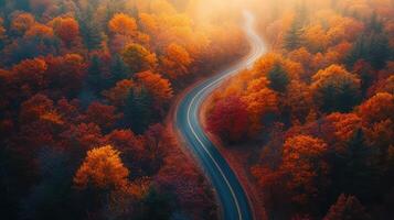 Autumn forest from above. Road curve through trees. Fall colors shine on leaves. Scenic landscape with path winds down. Colorful nature background. photo