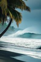 Ocean wave breaks near the shore. Palm tree over the dark sand. Tropical island landscape. Turquoise sea water crashing in the beach. photo