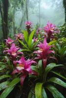 Pink flowers bloom in green forest. Tropical plant grows in dense foliage. Raindrops on petals, nature scene. Lush vegetation, calm and tranquil atmosphere. photo