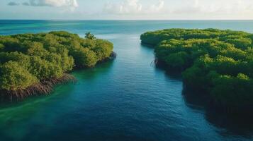 Island view from above. Green trees grow on a small island with a blue ocean around. Calm nature scene. photo