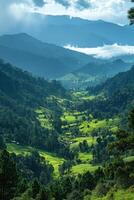 Green valley view. Rolling hills landscape. Lush trees scene. Mountains background. Overlook of forest and meadows. Scenic natural light. photo