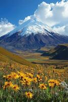 Snow Mountain View. Yellow Flowers Bloom. Blue Sky and Clouds. Natural Scenery. Mountain peak with snow and grassland. Beautiful landscape. Outdoor scenery. photo