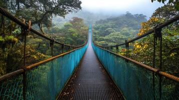 Suspension bridge over green forest. Lush trees and fog cover the landscape. Walkway perspective on metal structure. Nature adventure through the wilderness. photo