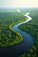 Green forest aerial view. River flows in natural landscape. Dense trees from above. Dark water going through woods. Curvy river stream. photo