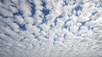 A large field with clouds in the sky photo