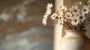 A gentle vignette effect with blurred edges photo