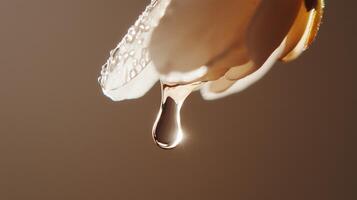 A drop of water falling from a flower photo
