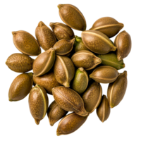 Collection of Brown Seeds with Unique Textures and Patterns on Surface png