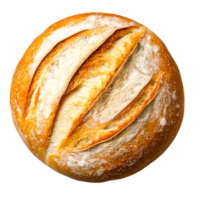 Freshly Baked Artisan Bread with Crispy Crust and Soft Inside png