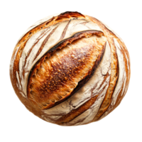 Freshly Baked Round Artisan Bread with Crispy Crust and Golden Surface png