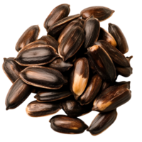 closeup View of Dark Seeds with Unique Pattern and Smooth Texture png