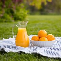 A pitcher of orange juice and a bowl of oranges on a blanket photo