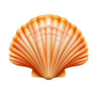 Seashell orange color sea shell ocean clam shell design isolated on transparent background png