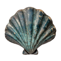 Seashell close up of a blue scallop shell on dark backdrop isolated on transparent background png