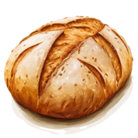 Fresh baked loaf of bread artisan food delicious crust isolated on transparent background png