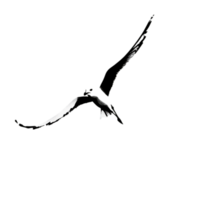 Artistic rendition of a bird in flight minimal artwork isolated on transparent background png
