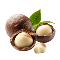 Delicious macadamia nuts with leaf for gourmet snacking isolated on transparent background png