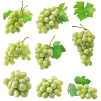 Fresh green grapes with leaves on transparent background isolated on transparent background png