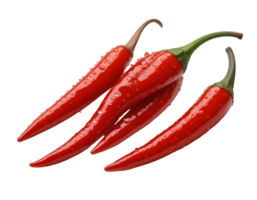 Fresh red chili peppers isolated on transparent background png