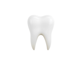Isolated 3D Render of a White Tooth png