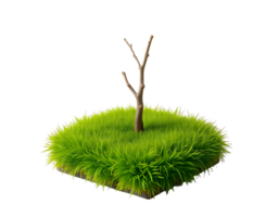 Isolated Tree with Green Grass on a Square Platform png