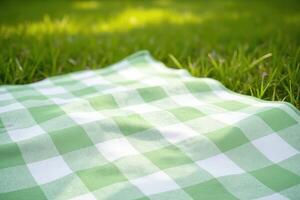 Green Gingham Blanket photo
