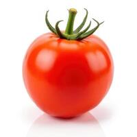 Red Round Tomato photo