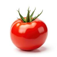 Red Ripe Tomato photo