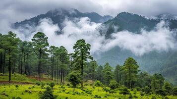 Misty Mountain Landscape with Lush Green Forest photo