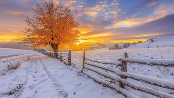 Winter Sunset Over a Snowy Landscape photo