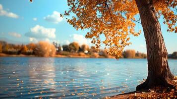 Autumn Tree by a Tranquil Lake photo