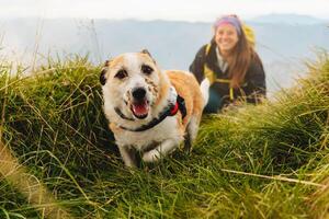 travel with pet enjoying the breathtaking views photo
