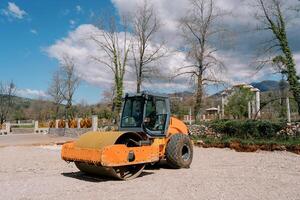 Orange paver stands on gravel in a sunny park photo