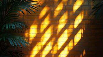 Sunlight shadows on brick wall with plant. photo