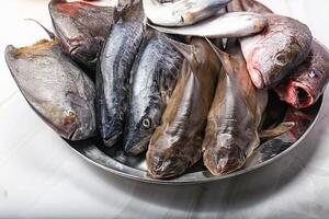 A bowl of fish on a table photo