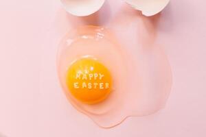 Fresh broken chicken egg with eggshell photo