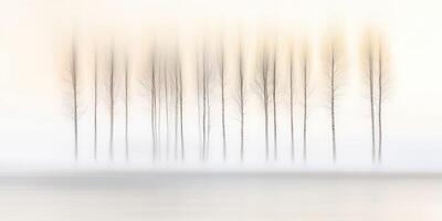 A blurry photograph of trees in the fog photo