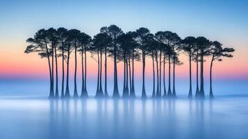 A group of trees in the water at sunrise photo