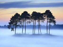 Five trees stand on a foggy island in the middle of a lake photo