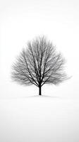 A black and white photo of a bare tree