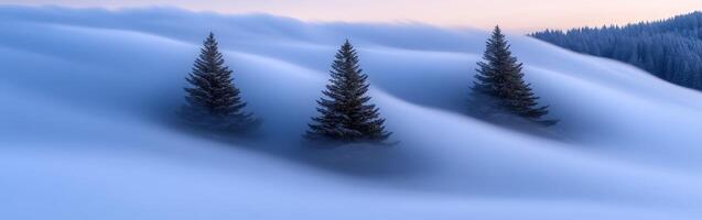 Three trees in the snow with fog and mountains in the background photo