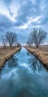 A river runs through a field with trees and grass photo