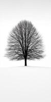 A black and white photo of a tree in the snow
