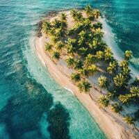 Aerial view of tropical island with palm trees in the ocean photo