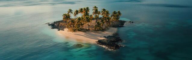 An aerial view of a small island with palm trees photo
