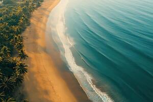 An aerial view of a beach and ocean photo