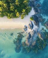 An aerial view of tropical beach with palm trees and rocks photo