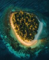 An aerial view of a small island in the middle of the ocean photo