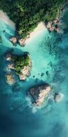 An aerial view of a tropical island with green trees photo