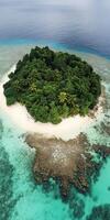 Island in the middle of the ocean with tropical vegetation photo
